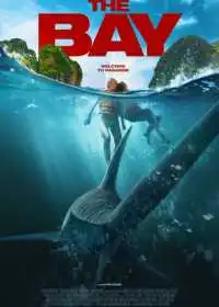 Бухта